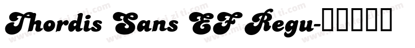 Thordis Sans EF Regu字体转换
